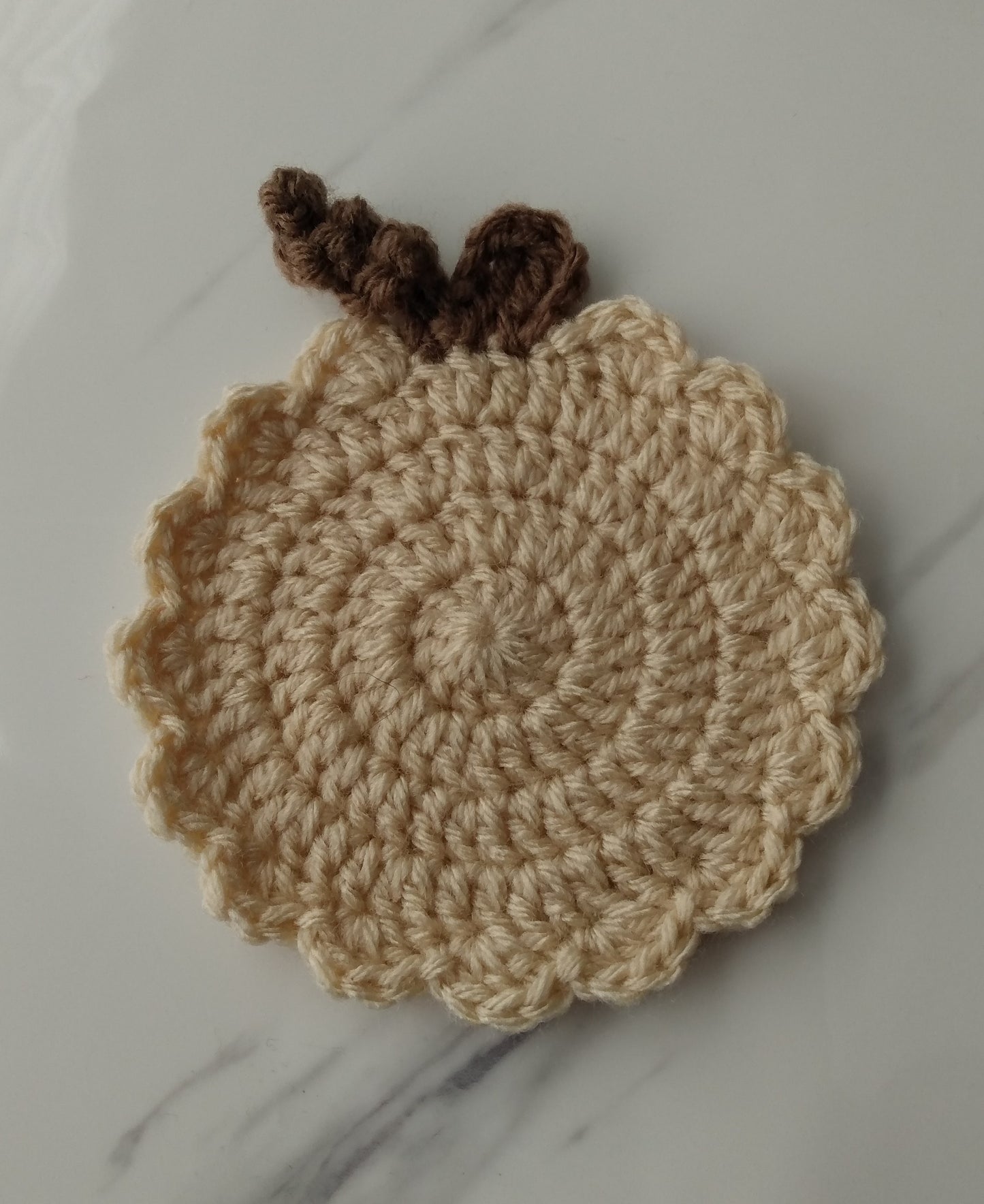 Fall Harvest Rustic Pumpkin Coasters